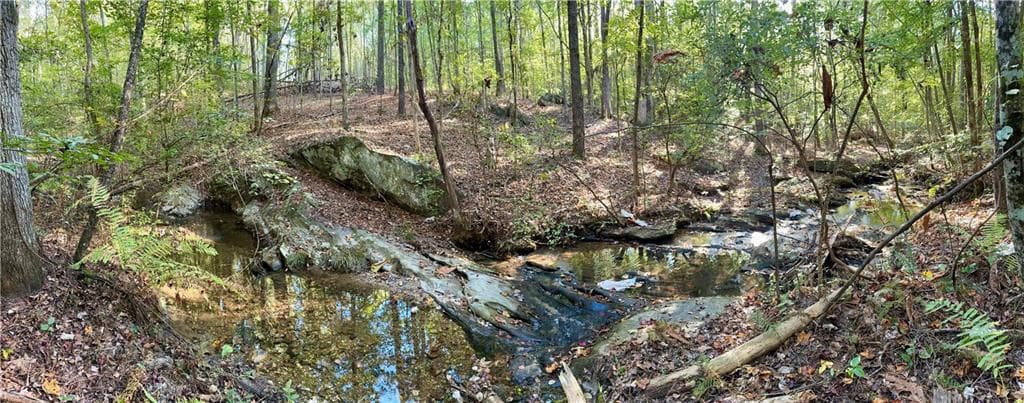 unimproved land for sale at 0 Lone Bear Path, Dallas, GA 30132 — photo 8