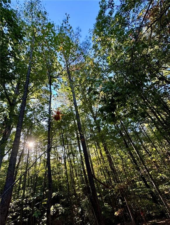 unimproved land for sale at 0 Lone Bear Path, Dallas, GA 30132 — photo 9