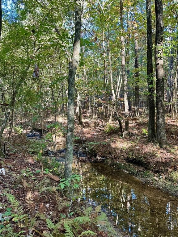 unimproved land for sale at 0 Lone Bear Path, Dallas, GA 30132 — photo 10