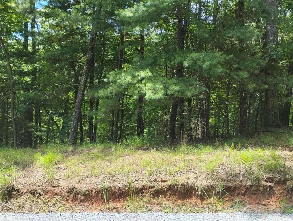 unimproved land for sale at 0 Crystal Lane, Ellijay, GA 30540 — photo 1 of 9