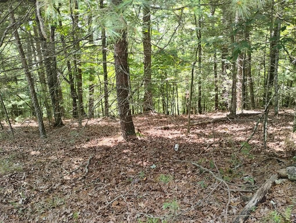 unimproved land for sale at 0 Crystal Lane, Ellijay, GA 30540 — photo 2