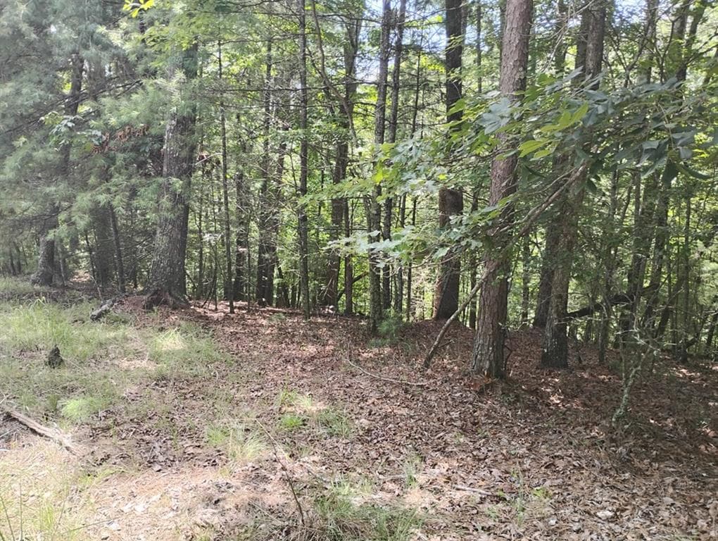 unimproved land for sale at 0 Crystal Lane, Ellijay, GA 30540 — photo 3