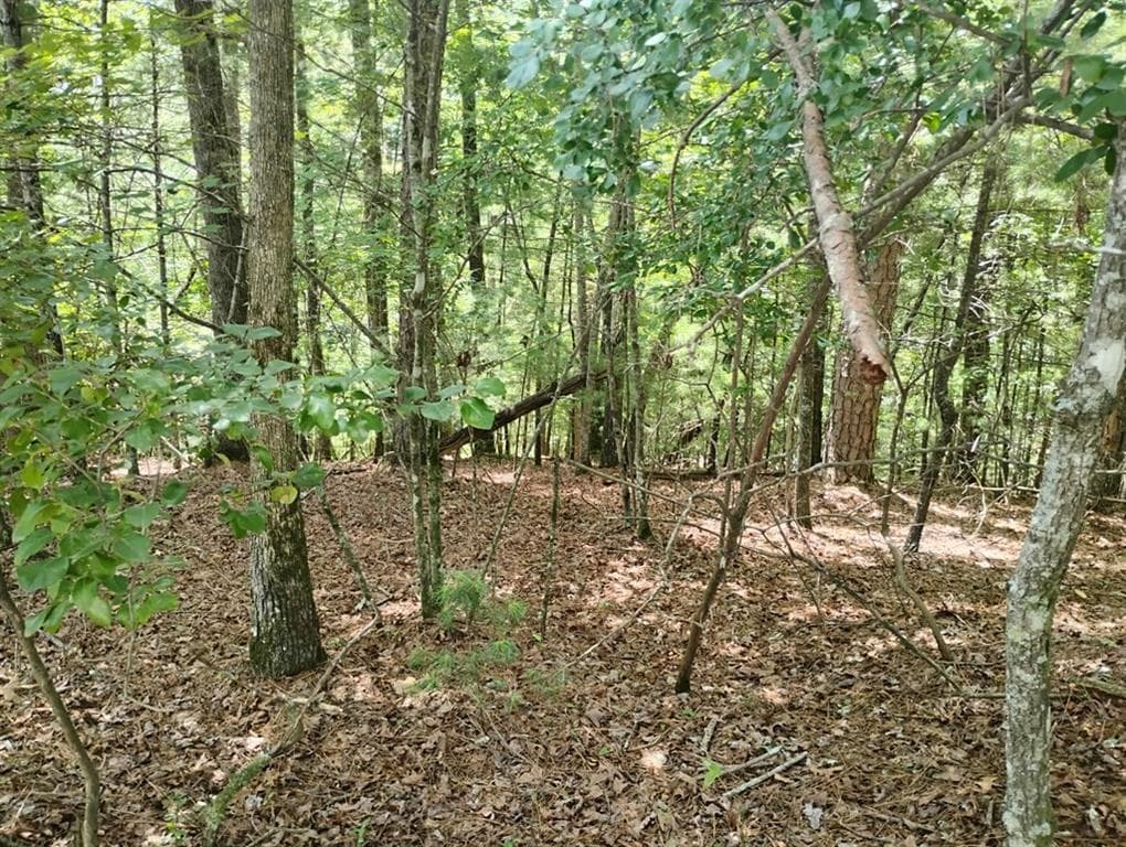 unimproved land for sale at 0 Crystal Lane, Ellijay, GA 30540 — photo 4