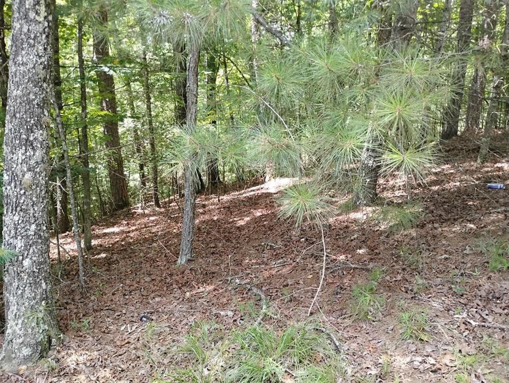 unimproved land for sale at 0 Crystal Lane, Ellijay, GA 30540 — photo 5