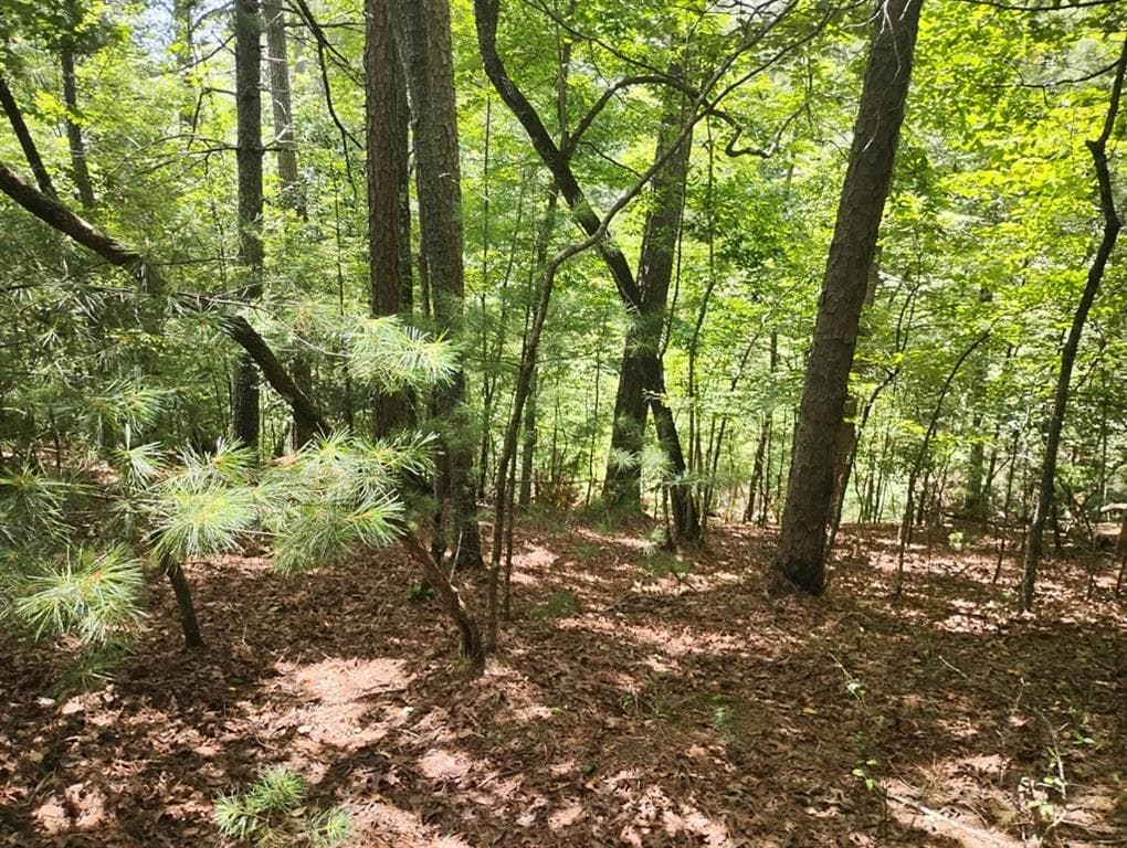 unimproved land for sale at 0 Crystal Lane, Ellijay, GA 30540 — photo 6