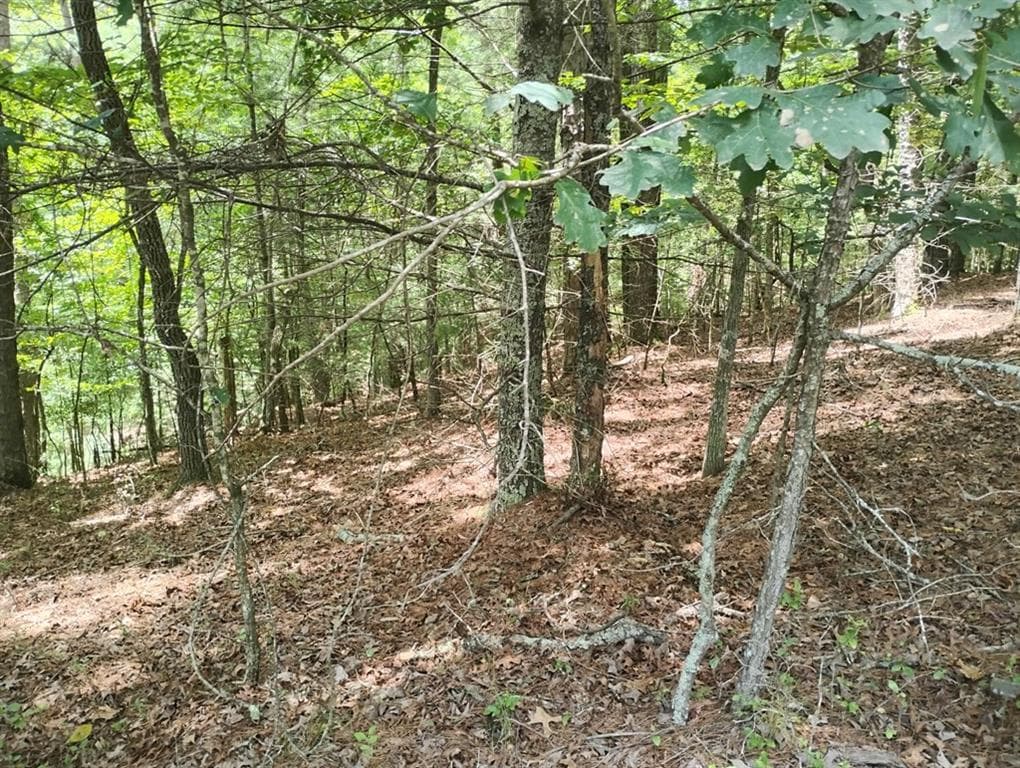 unimproved land for sale at 0 Crystal Lane, Ellijay, GA 30540 — photo 7
