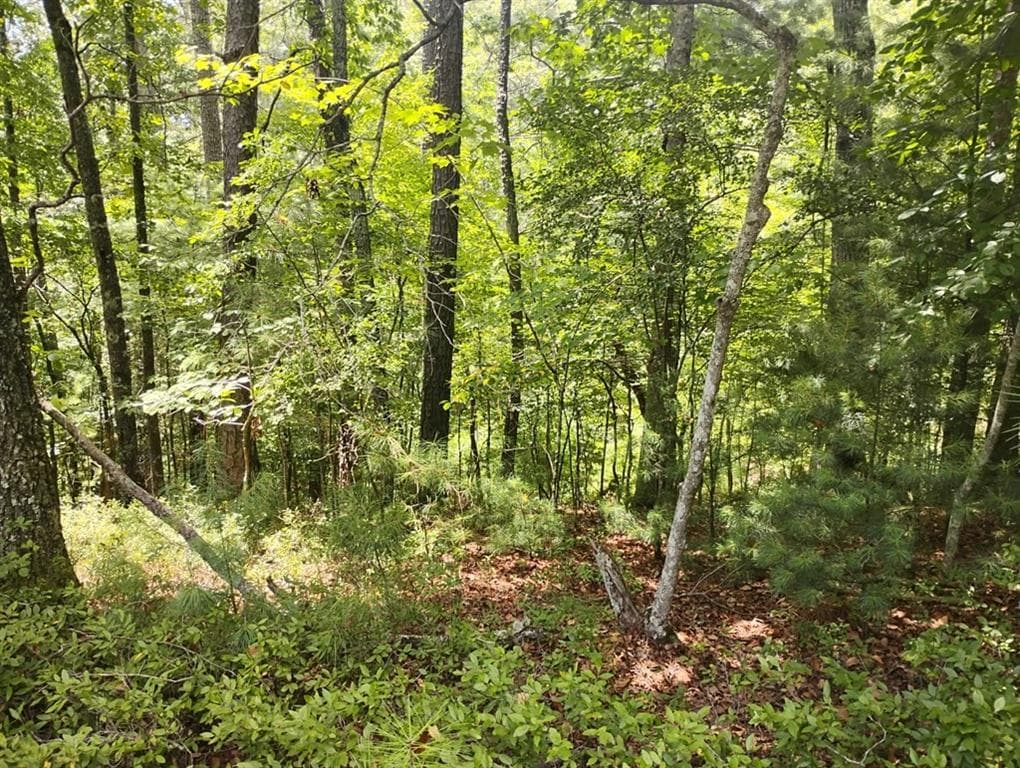 unimproved land for sale at 0 Crystal Lane, Ellijay, GA 30540 — photo 8