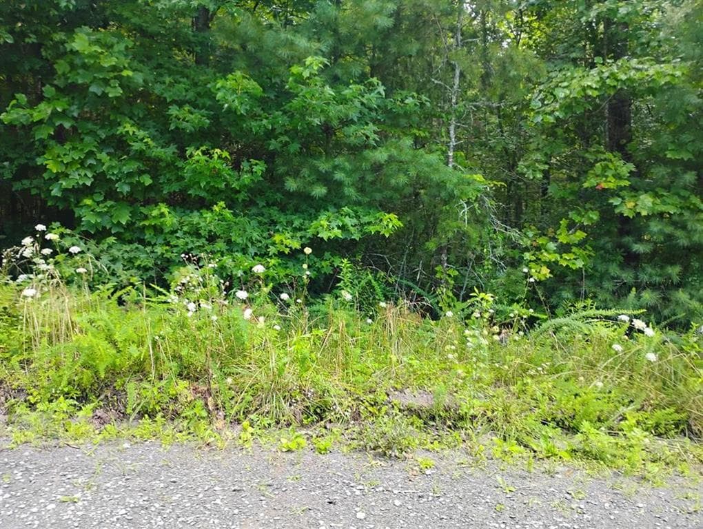 unimproved land for sale at 0 Crystal Lane, Ellijay, GA 30540 — photo 9