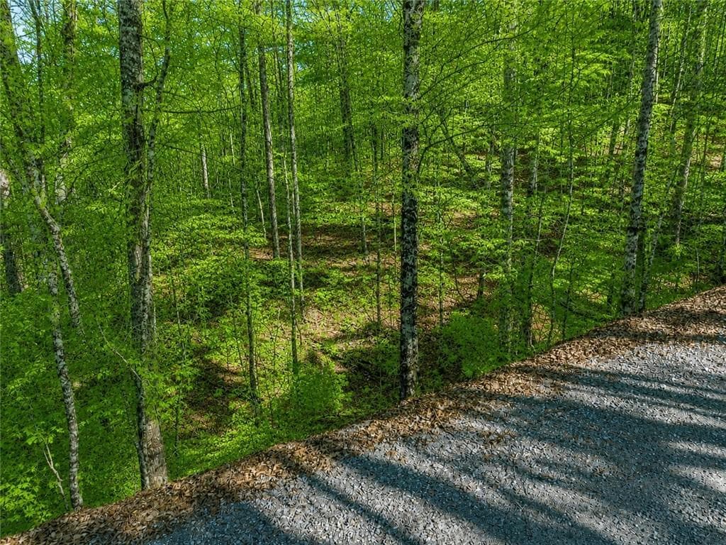single family residence for sale at LT941 Myna Drive, Ellijay, GA 30540 — photo 8