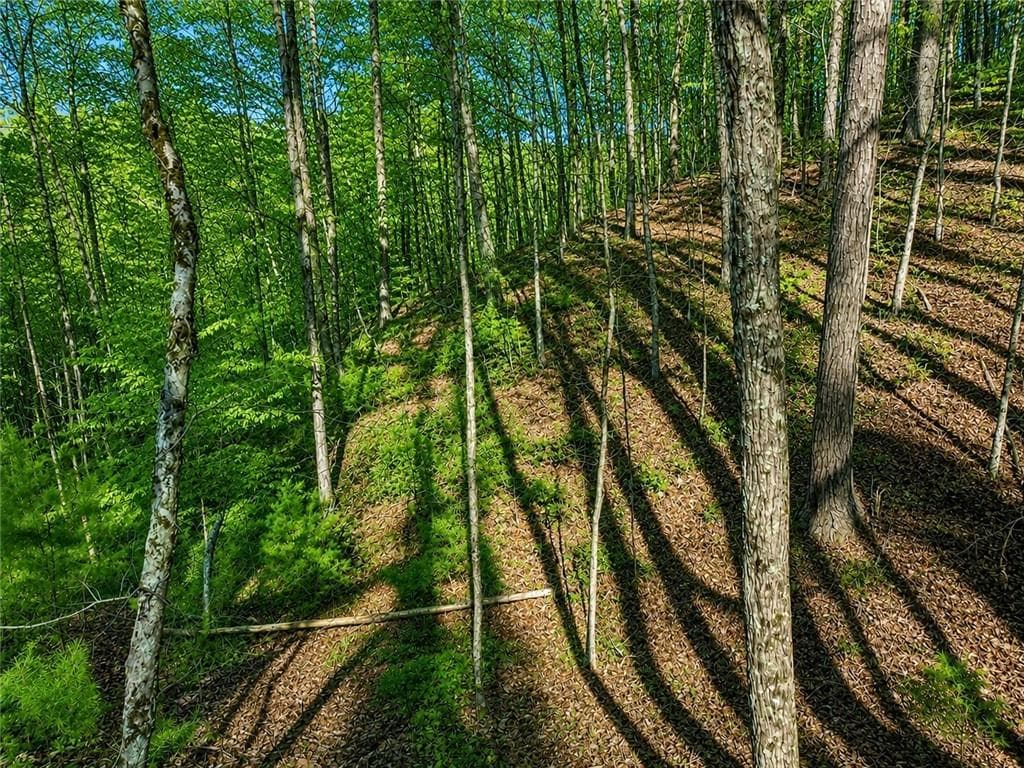 single family residence for sale at LT941 Myna Drive, Ellijay, GA 30540 — photo 9