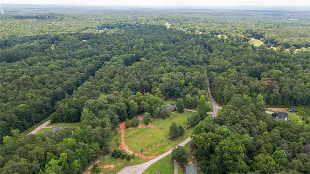 5 bedroom, 5 bathroom, 4,280 sq ft single family residence for sale at 9790 Court Lynn Lane, Winston, GA 30187 — photo 3