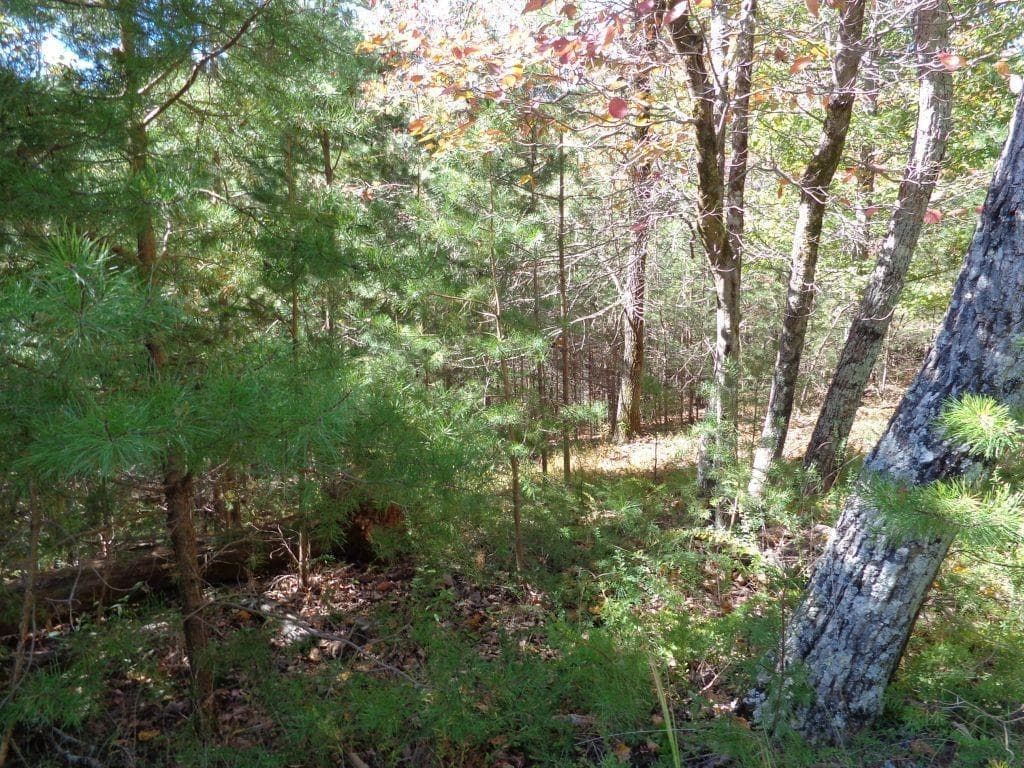 single family residence for sale at 2474 Wedgewood Drive, Big Canoe, GA 30143 — photo 4