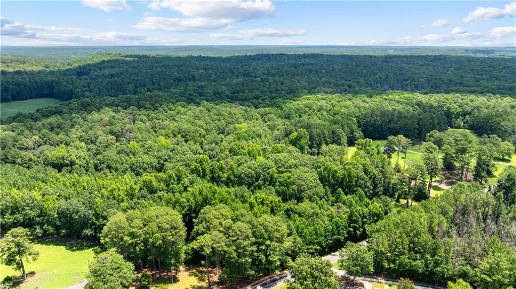unimproved land for sale at 0 Rico Road, Chattahoochee Hills, GA 30268 — photo 2