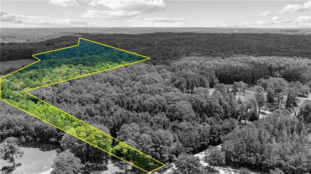 unimproved land for sale at 0 Rico Road, Chattahoochee Hills, GA 30268 — photo 3