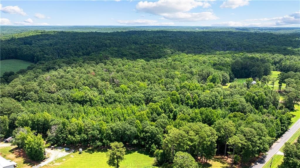 unimproved land for sale at 0 Rico Road, Chattahoochee Hills, GA 30268 — photo 4
