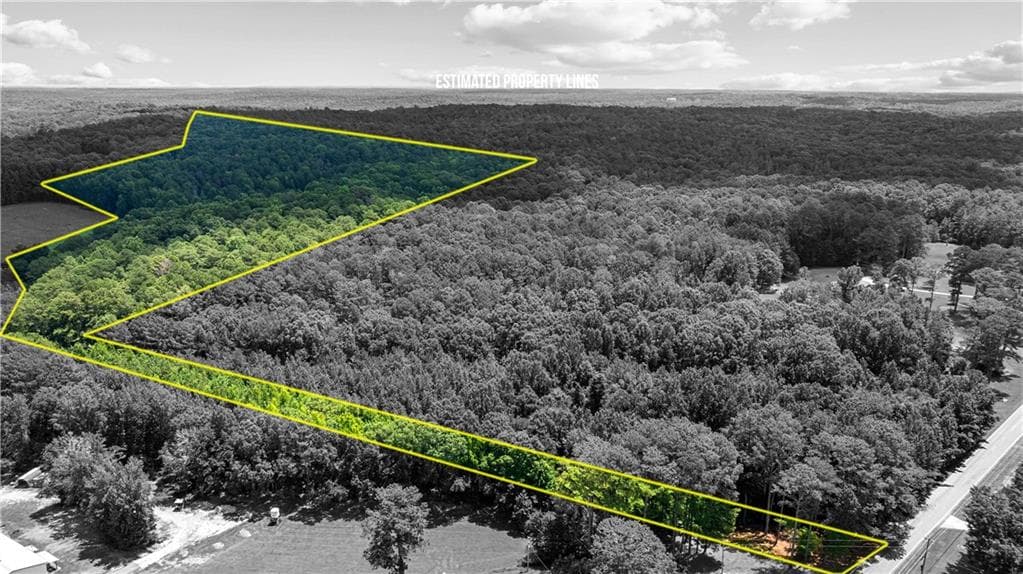 unimproved land for sale at 0 Rico Road, Chattahoochee Hills, GA 30268 — photo 5