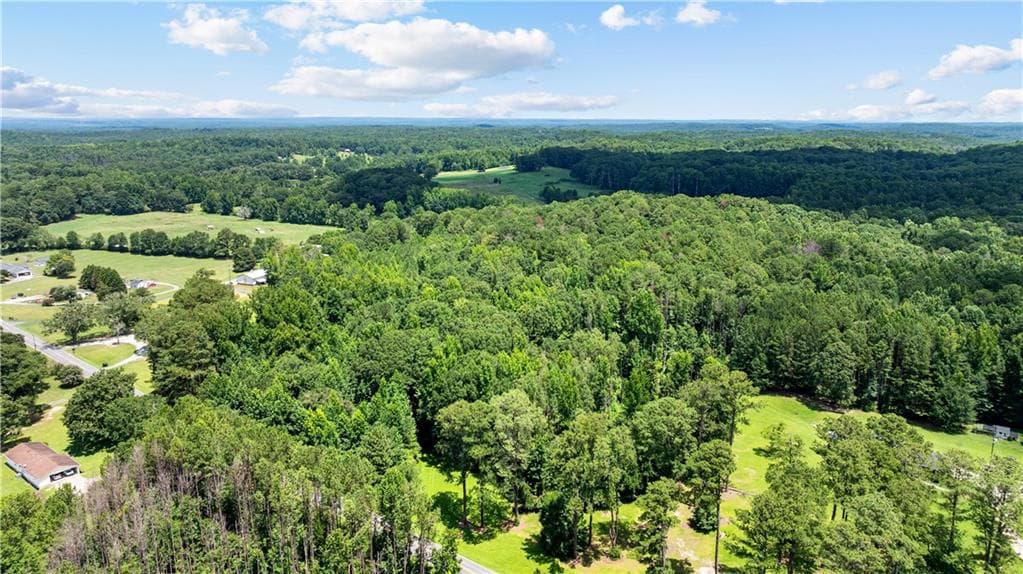 unimproved land for sale at 0 Rico Road, Chattahoochee Hills, GA 30268 — photo 6