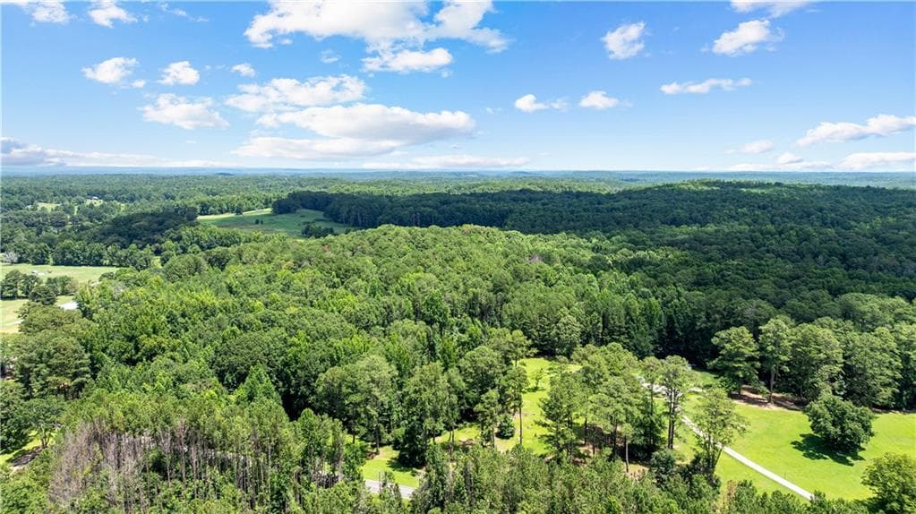 unimproved land for sale at 0 Rico Road, Chattahoochee Hills, GA 30268 — photo 8