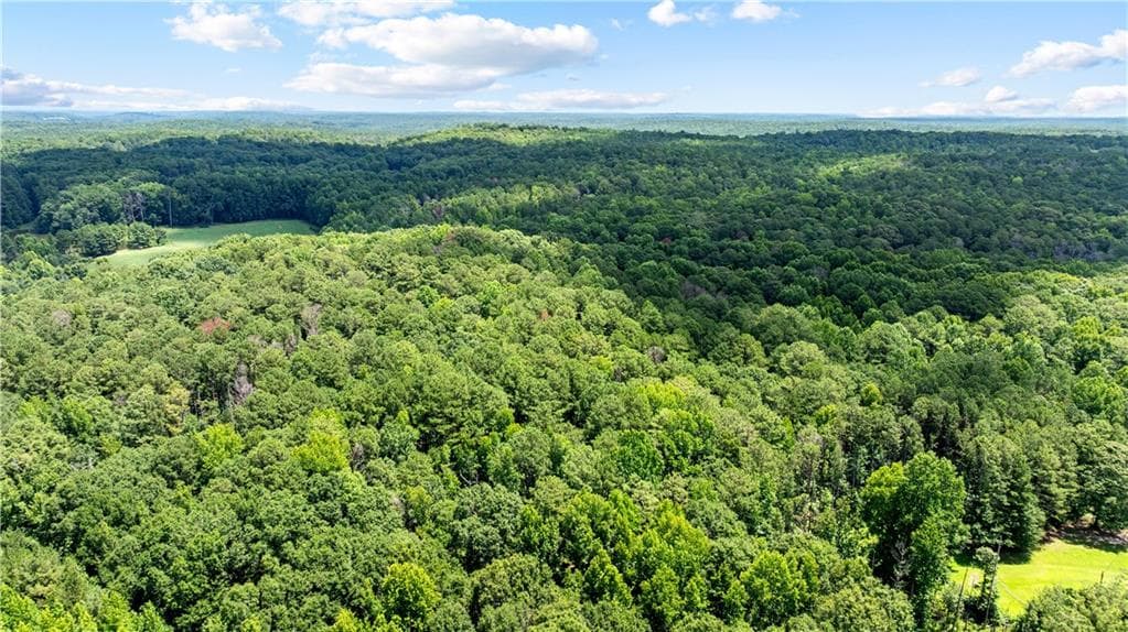 unimproved land for sale at 0 Rico Road, Chattahoochee Hills, GA 30268 — photo 9