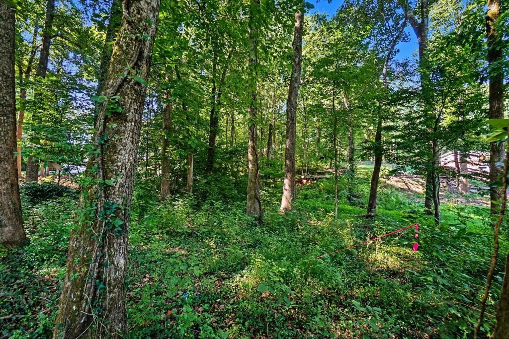 other for sale at 5211 Union Hill Road, Alpharetta, GA 30004 — photo 3