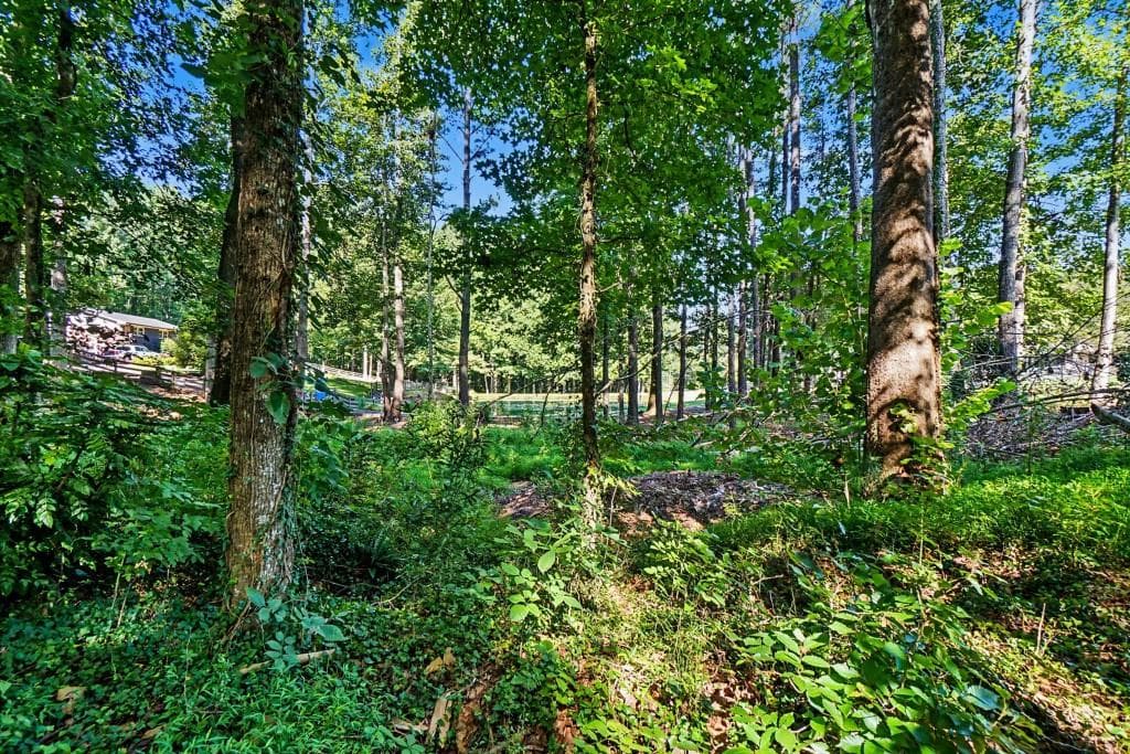 other for sale at 5211 Union Hill Road, Alpharetta, GA 30004 — photo 4