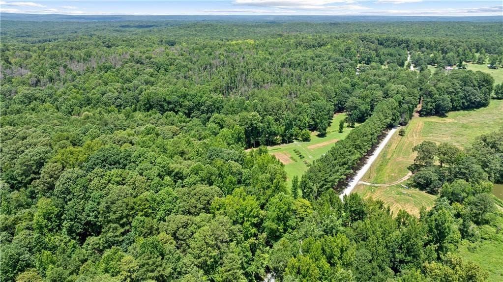 unimproved land for sale at 7655 Old Phillips Road, Chattahoochee Hills, GA 30268 — photo 6