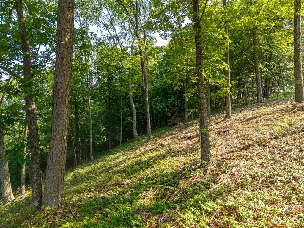 unimproved land for sale at 294 Adair Drive, Ranger, GA 30734 — photo 2