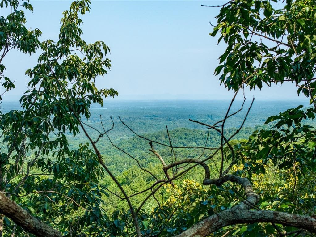 unimproved land for sale at 294 Adair Drive, Ranger, GA 30734 — photo 3