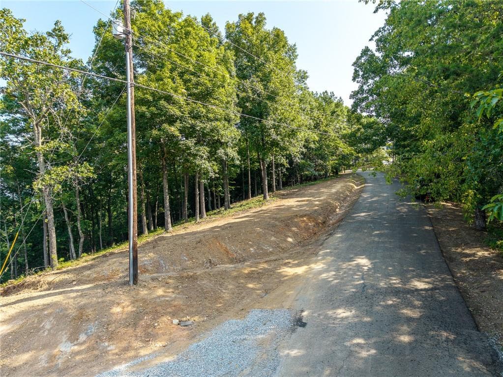 unimproved land for sale at 294 Adair Drive, Ranger, GA 30734 — photo 7