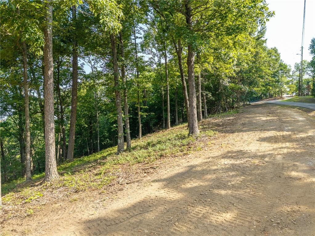 unimproved land for sale at 294 Adair Drive, Ranger, GA 30734 — photo 8