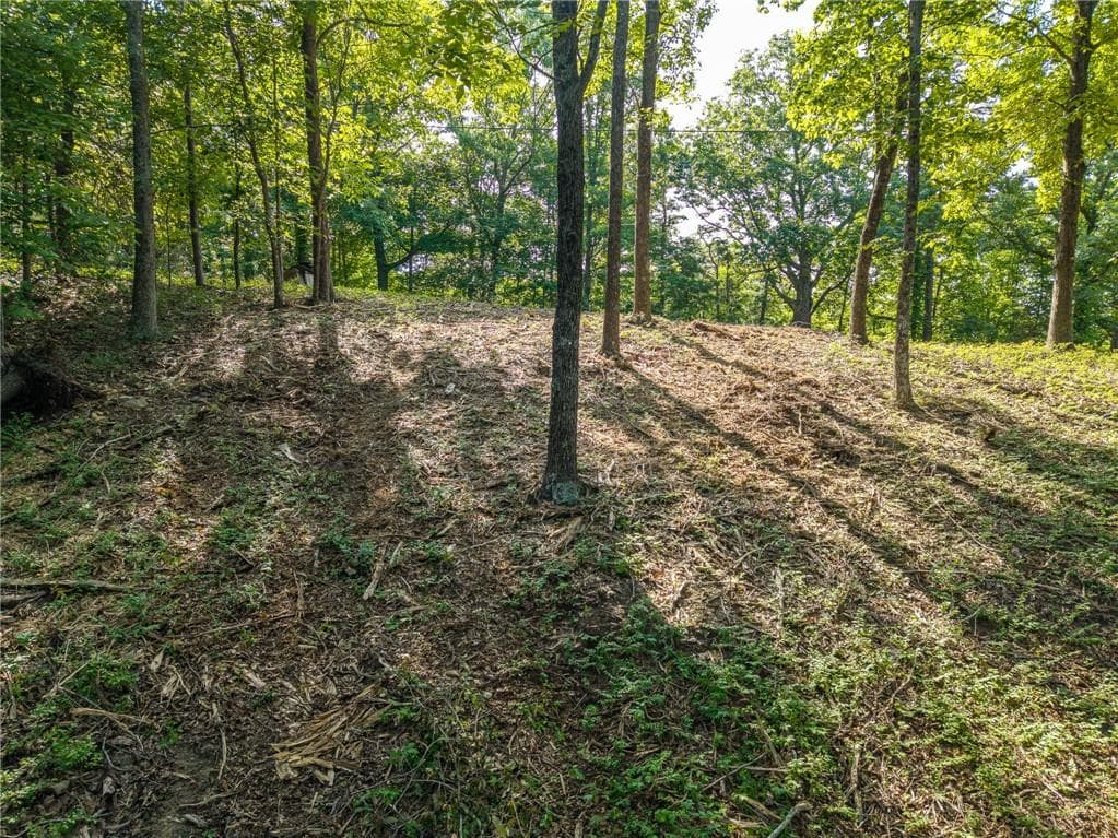 unimproved land for sale at 294 Adair Drive, Ranger, GA 30734 — photo 10