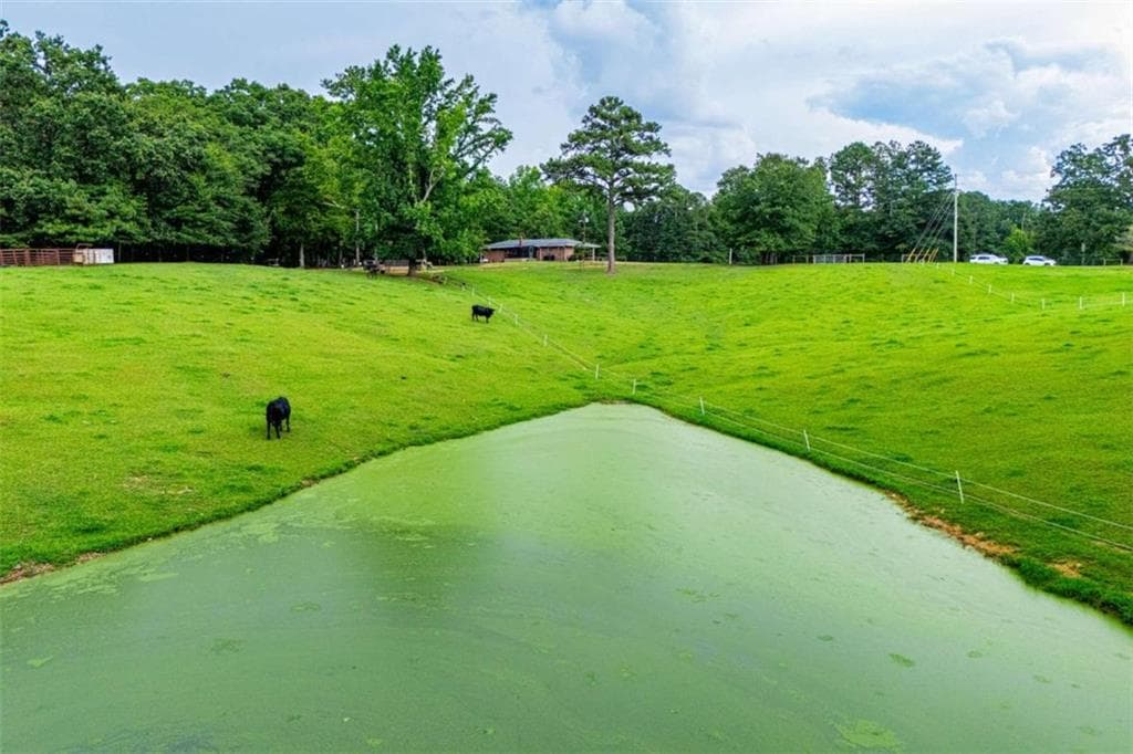 3 bedroom, 3 bathroom, 1,474 sq ft single family residence for sale at 4624 Jacksonville Road, Tallapoosa, GA 30176 — photo 8