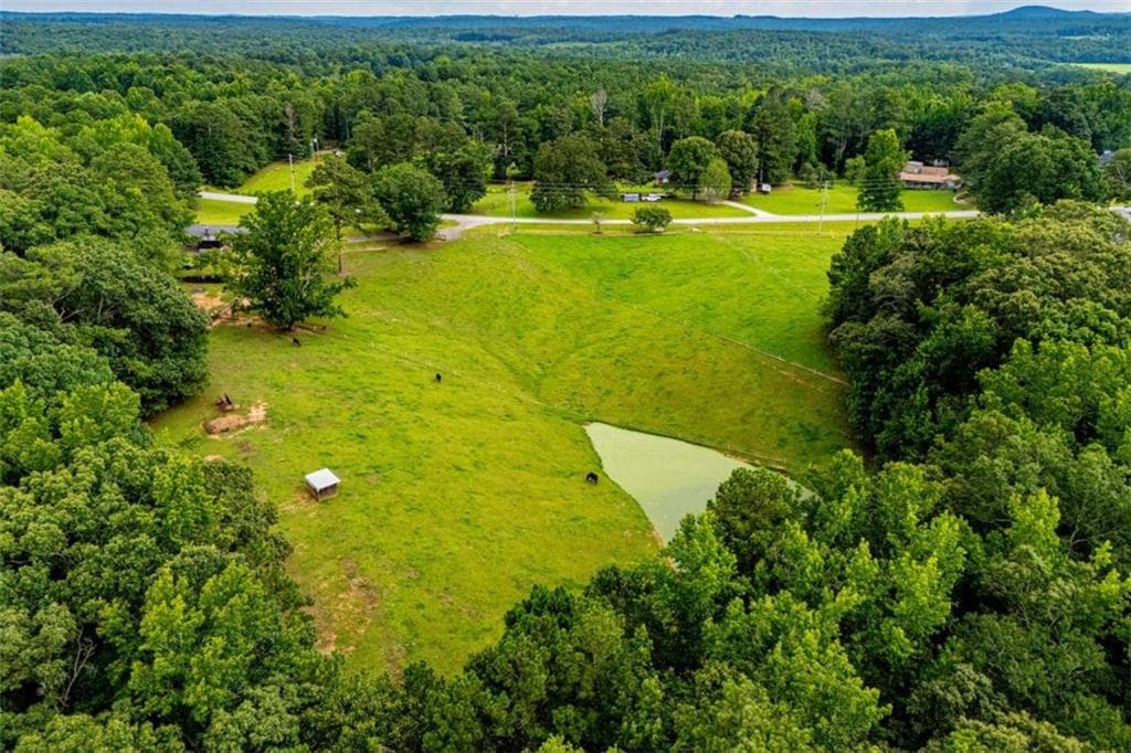 3 bedroom, 3 bathroom, 1,474 sq ft single family residence for sale at 4624 Jacksonville Road, Tallapoosa, GA 30176 — photo 9