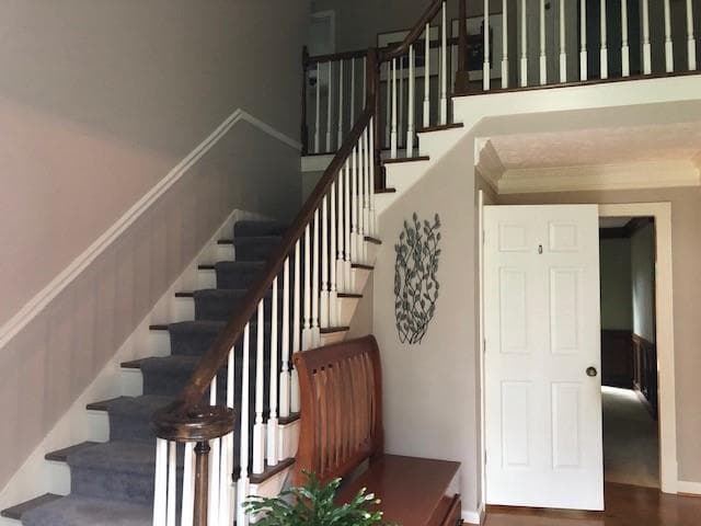 4 bedroom, 4 bathroom, 4,132 sq ft single family residence under contract at 11 Queen Anne Drive, Mableton, GA 30126 — photo 7