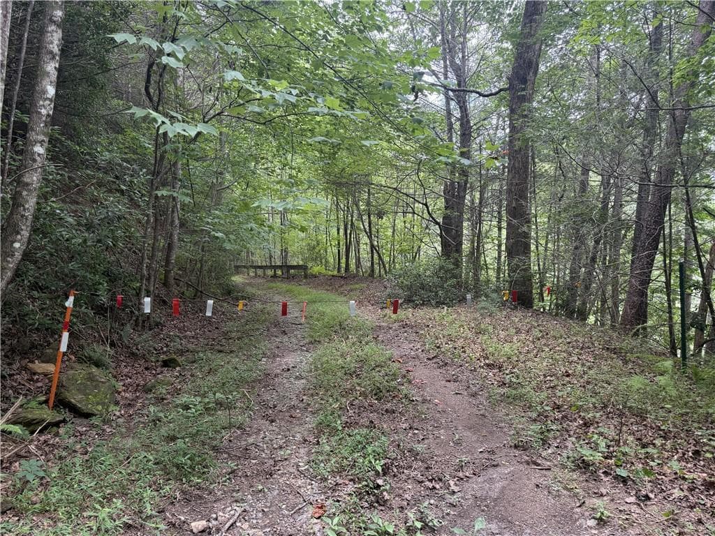 unimproved land for sale at 0 Yahoola Indian Road, Dahlonega, GA 30533 — photo 2