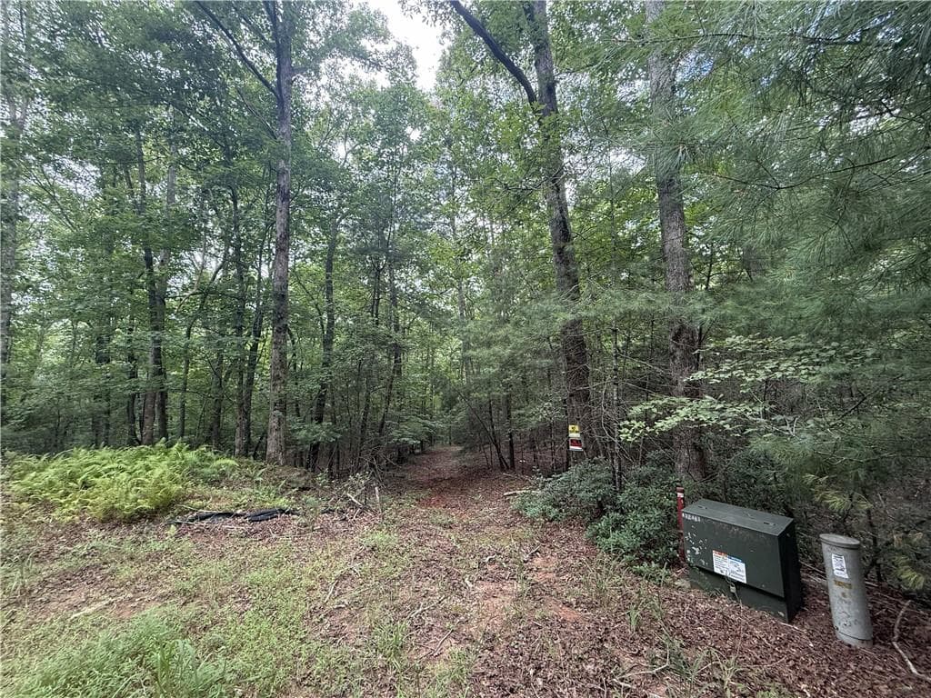 unimproved land for sale at 0 Yahoola Indian Road, Dahlonega, GA 30533 — photo 3