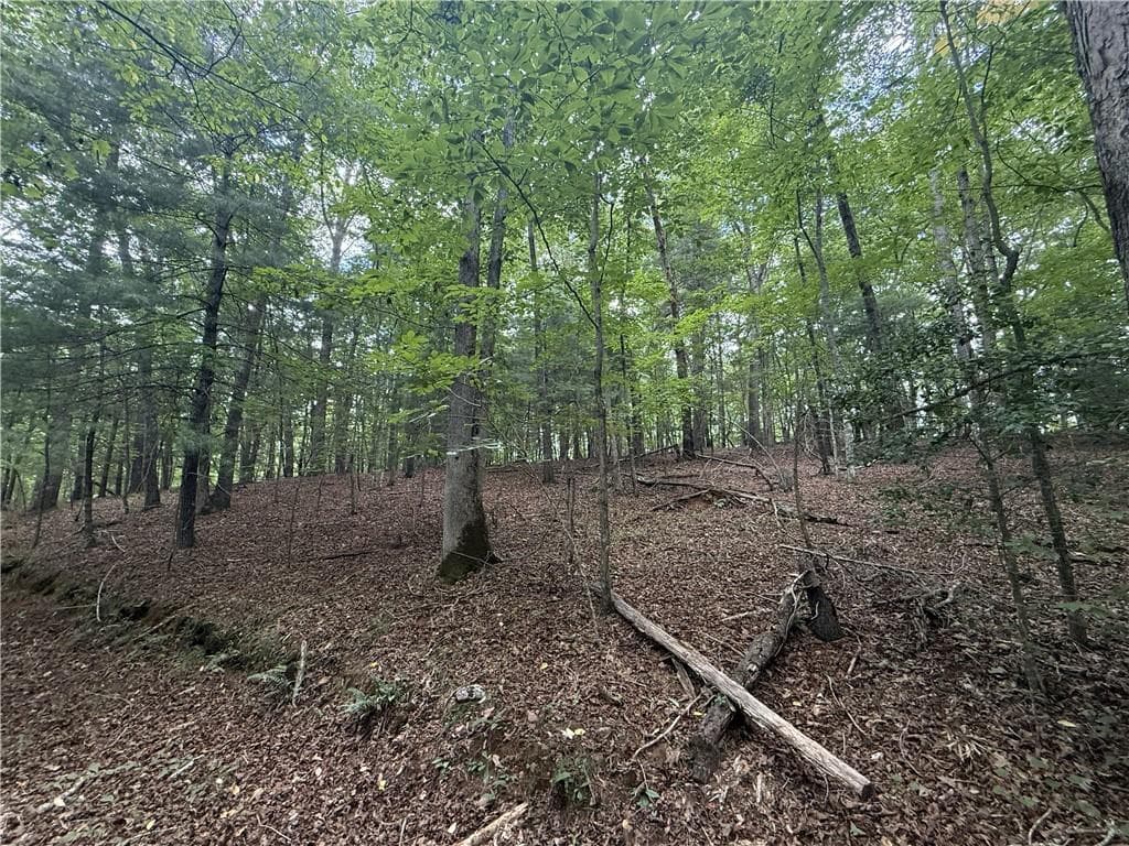 unimproved land for sale at 0 Yahoola Indian Road, Dahlonega, GA 30533 — photo 5