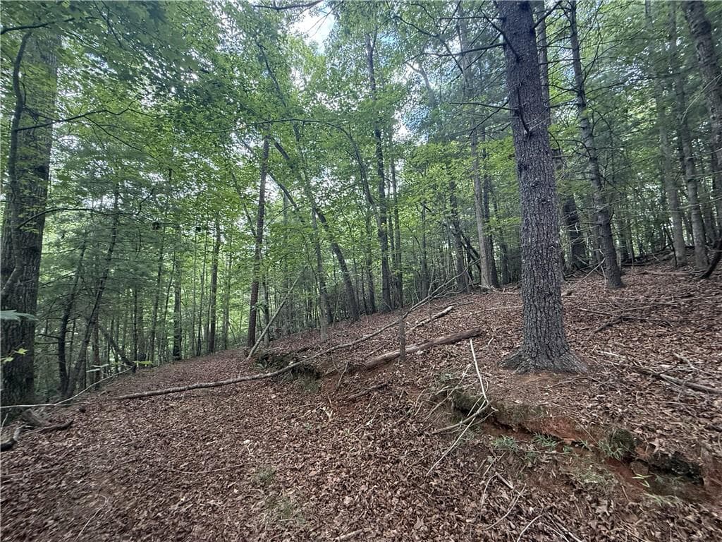 unimproved land for sale at 0 Yahoola Indian Road, Dahlonega, GA 30533 — photo 6
