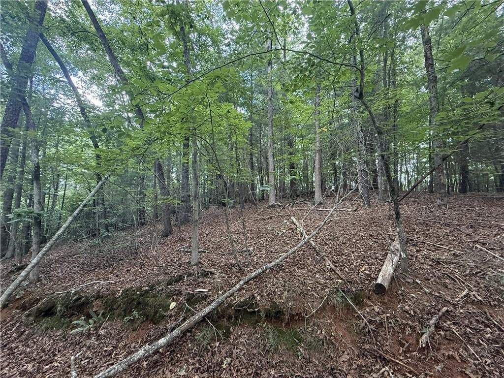 unimproved land for sale at 0 Yahoola Indian Road, Dahlonega, GA 30533 — photo 7