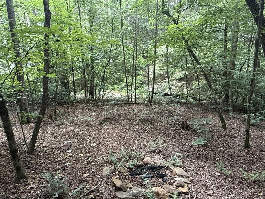 unimproved land for sale at 0 Yahoola Indian Road, Dahlonega, GA 30533 — photo 8
