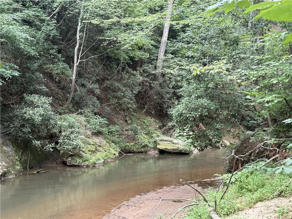 unimproved land for sale at 0 Yahoola Indian Road, Dahlonega, GA 30533 — photo 10