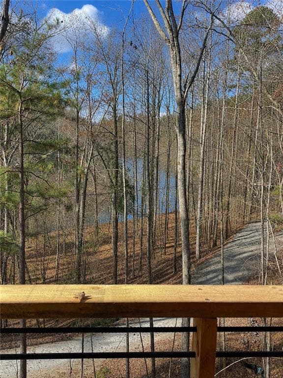 3 bedroom, 3 bathroom, 2,788 sq ft single family residence for sale at 245 Moonstone Drive, Ellijay, GA 30540 — photo 3