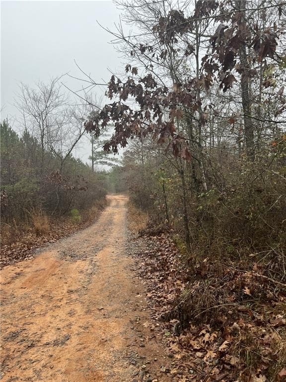 unimproved land for sale at 0 Woods Drive, Milledgeville, GA 31061 — photo 4