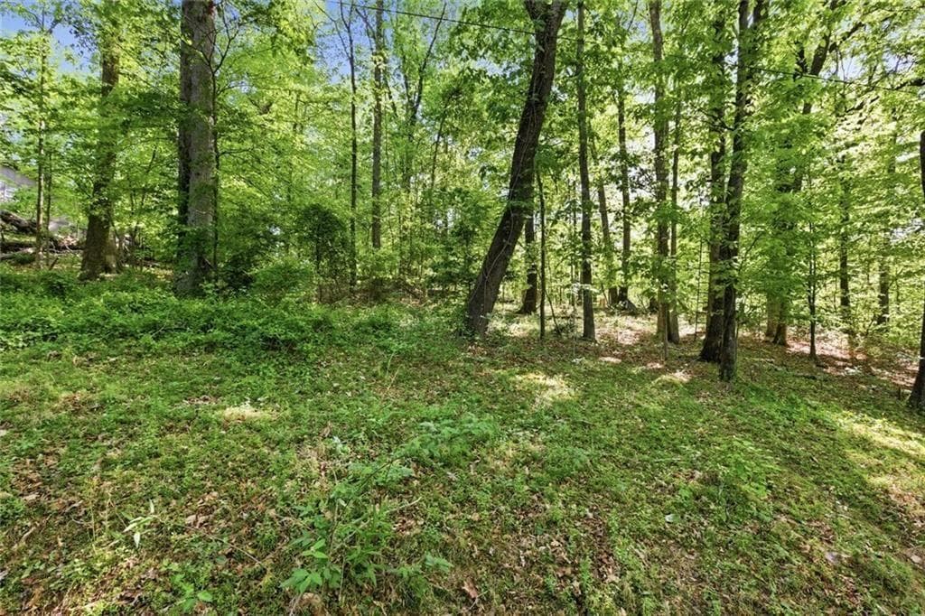 other for sale at 3691 Ledan Road, Gainesville, GA 30506 — photo 6