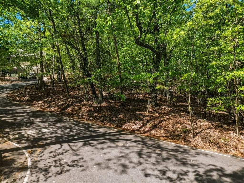 unimproved land for sale at 1095 McElroy Mountain Drive, Big Canoe, GA 30143 — photo 3