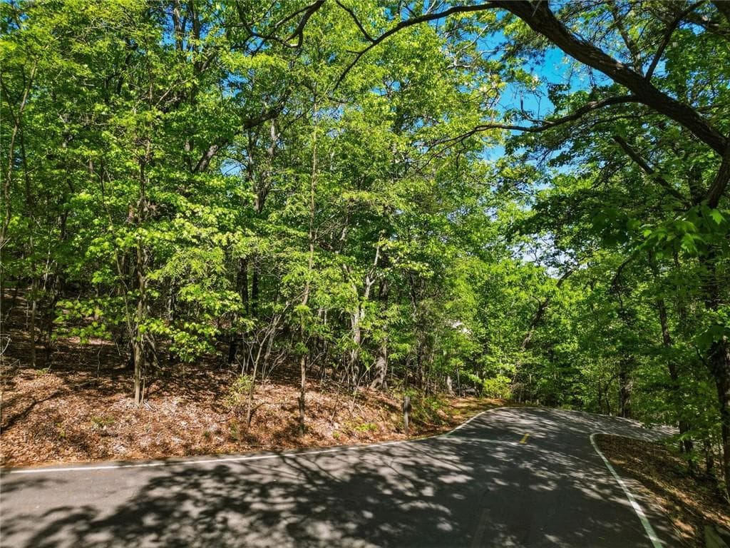 unimproved land for sale at 1095 McElroy Mountain Drive, Big Canoe, GA 30143 — photo 4