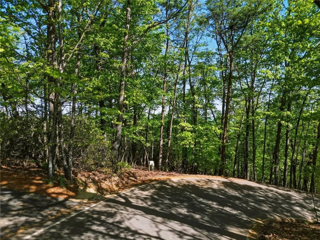 unimproved land for sale at 1095 McElroy Mountain Drive, Big Canoe, GA 30143 — photo 5