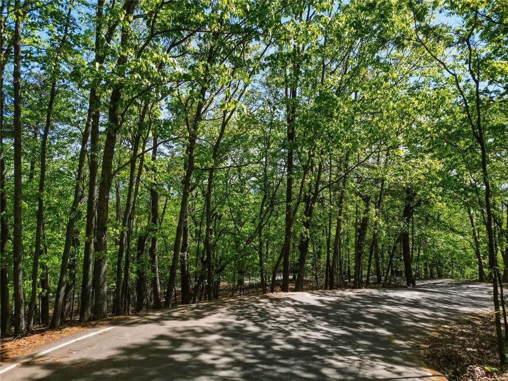 unimproved land for sale at 1095 McElroy Mountain Drive, Big Canoe, GA 30143 — photo 6
