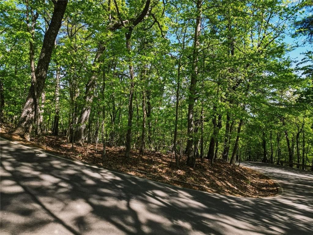 unimproved land for sale at 1095 McElroy Mountain Drive, Big Canoe, GA 30143 — photo 7