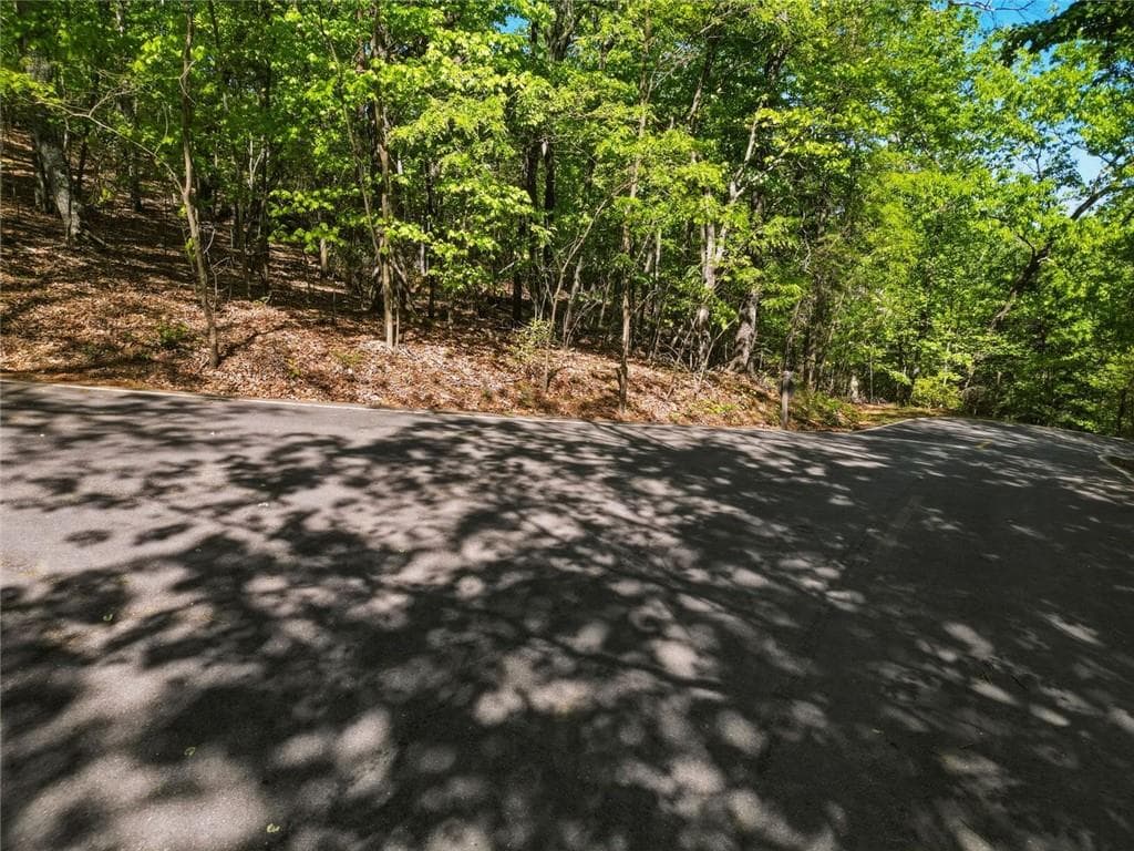 unimproved land for sale at 1095 McElroy Mountain Drive, Big Canoe, GA 30143 — photo 8